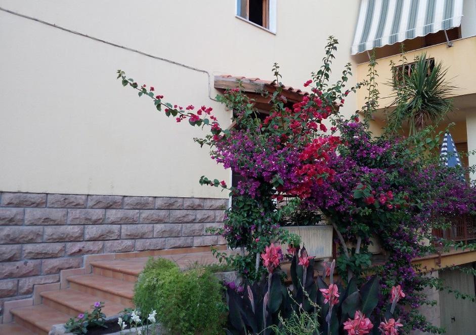 Al 32 Y 3 Bed & Breakfast Алгеро Екстериор снимка